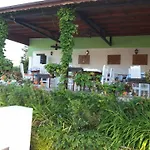 Temida 2*