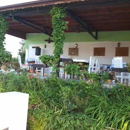 Temida 2*