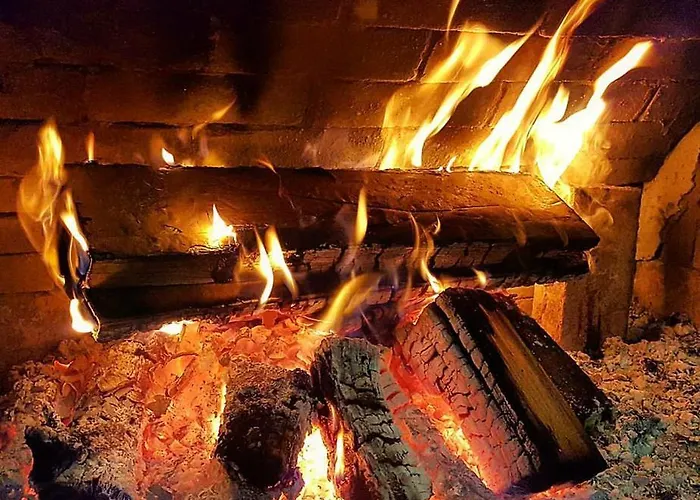 酒店 Temida 金沙